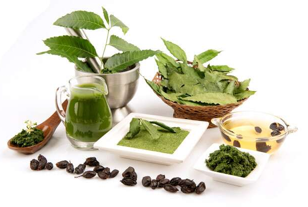 Neem Perfect Ingredient For Beauty